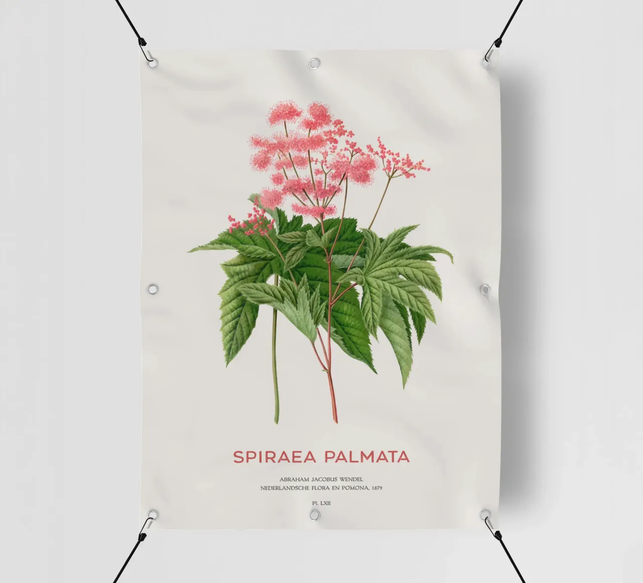 Prati o Spiraea palmata telo in pvc da Vintagrafica