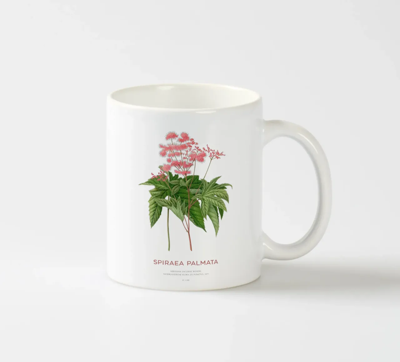 Weidekruid of Spiraea palmata keramische mok van Vintagrafica