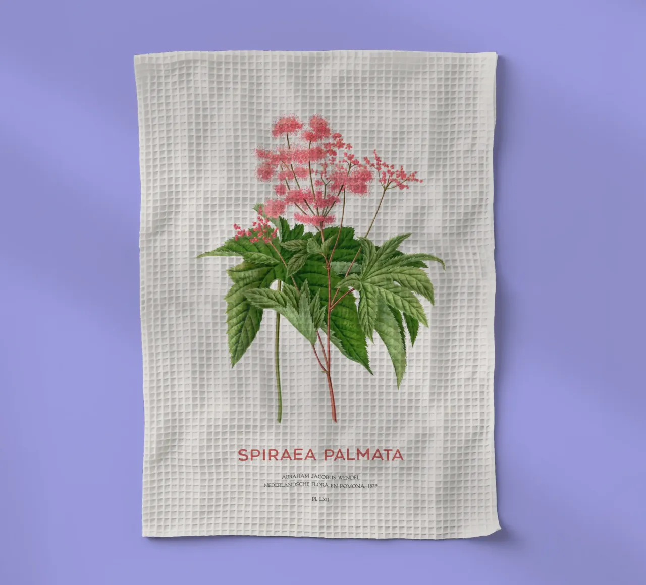 Prati o Spiraea palmata canovaccio da cucina da Vintagrafica