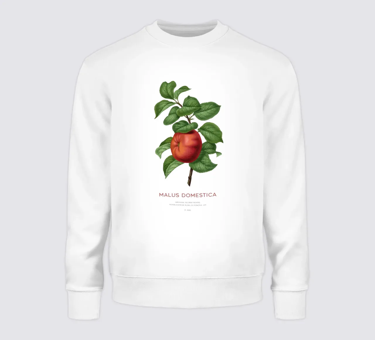Apfelbaum oder Malus domestica Sweatshirt von Vintagrafica