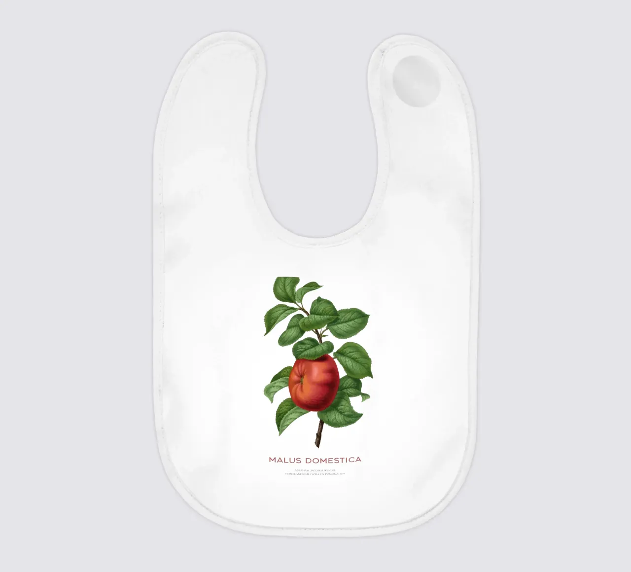 Apfelbaum oder Malus domestica Babylätzchen von Vintagrafica