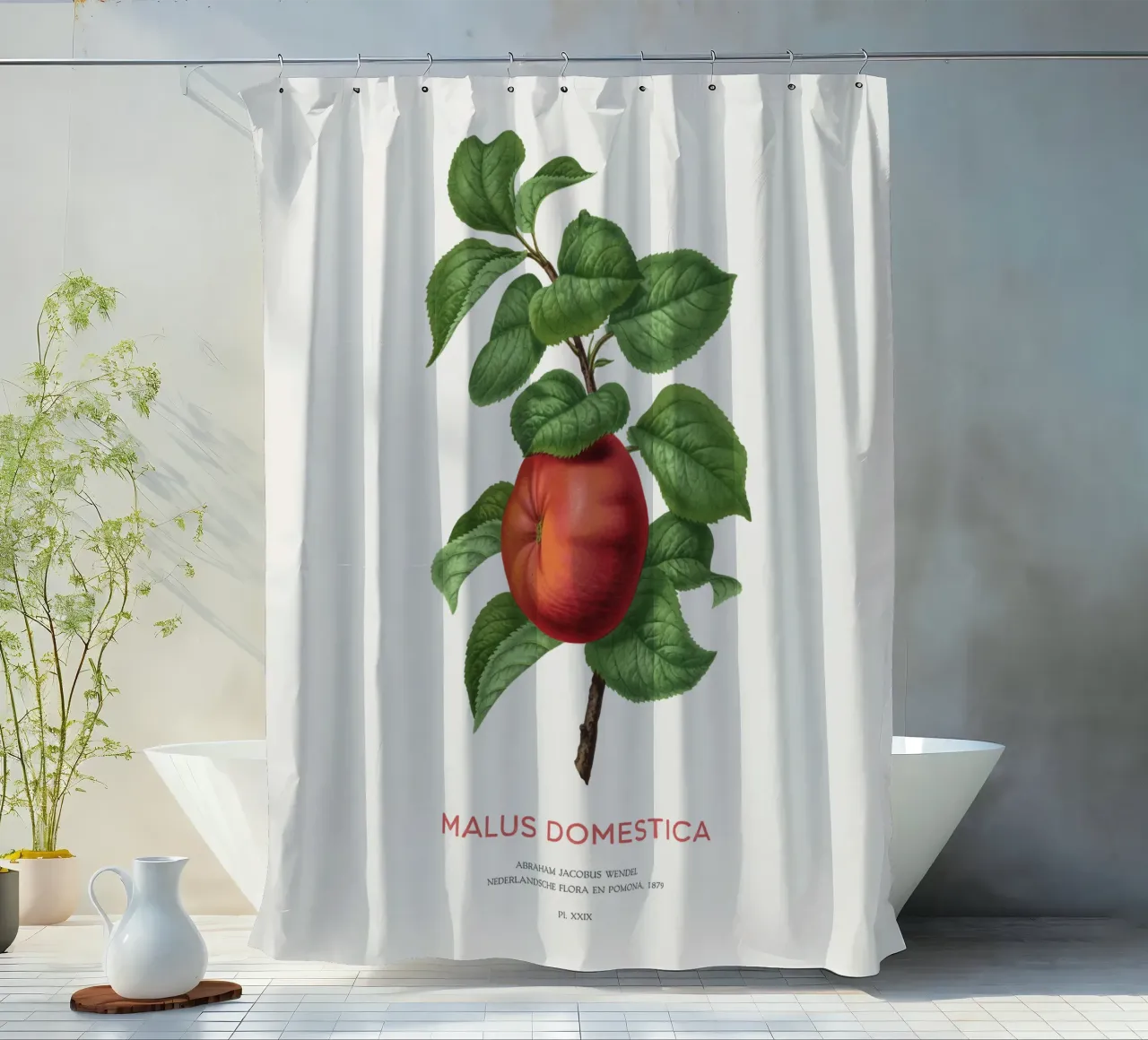 Apfelbaum oder Malus domestica Duschvorhang von Vintagrafica