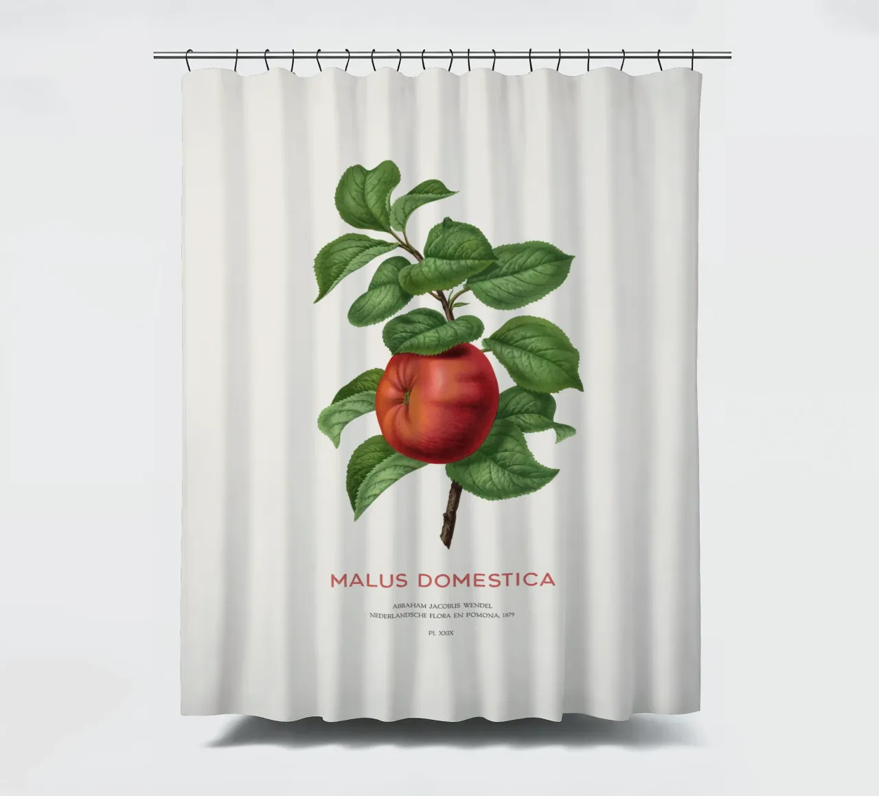 Apfelbaum oder Malus domestica Duschvorhang von Vintagrafica