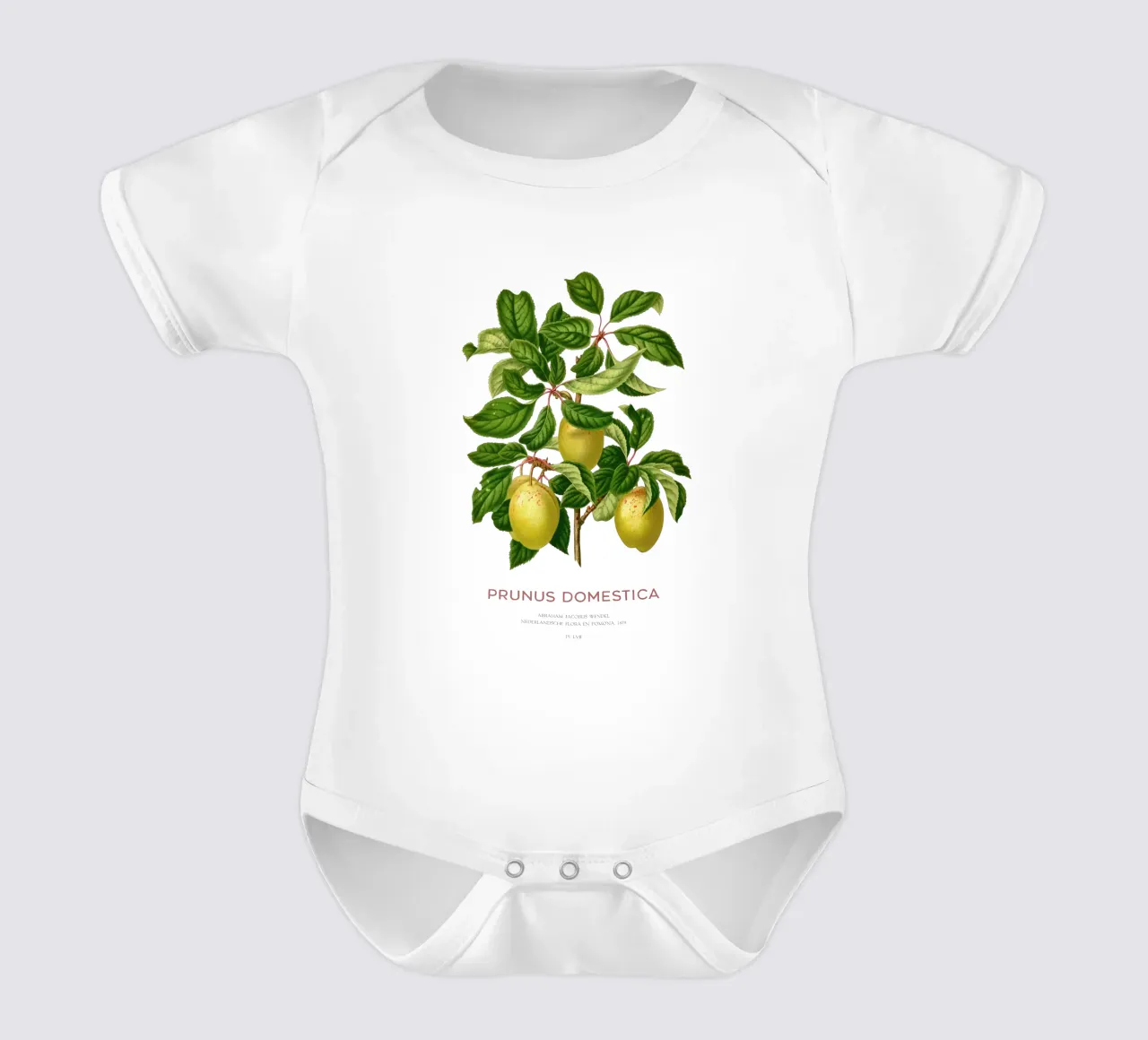 Pflaumen an einem Zweig oder Prunus domestica Kurzarm Babybody von Vintagrafica