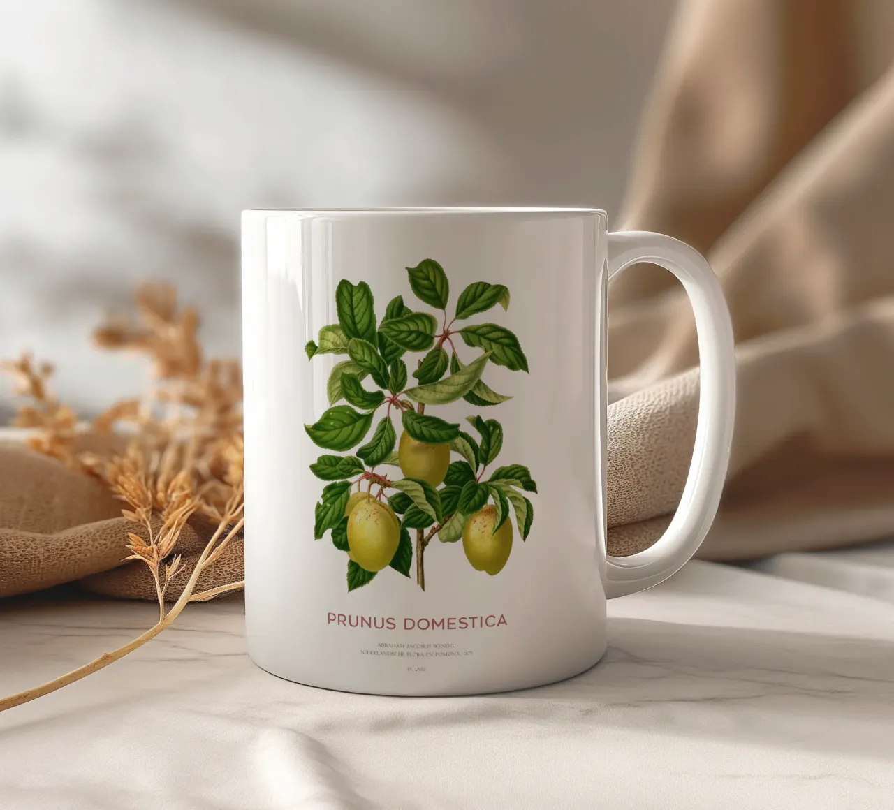 Prugne su un ramo o Prunus domestica tazza in ceramica da Vintagrafica