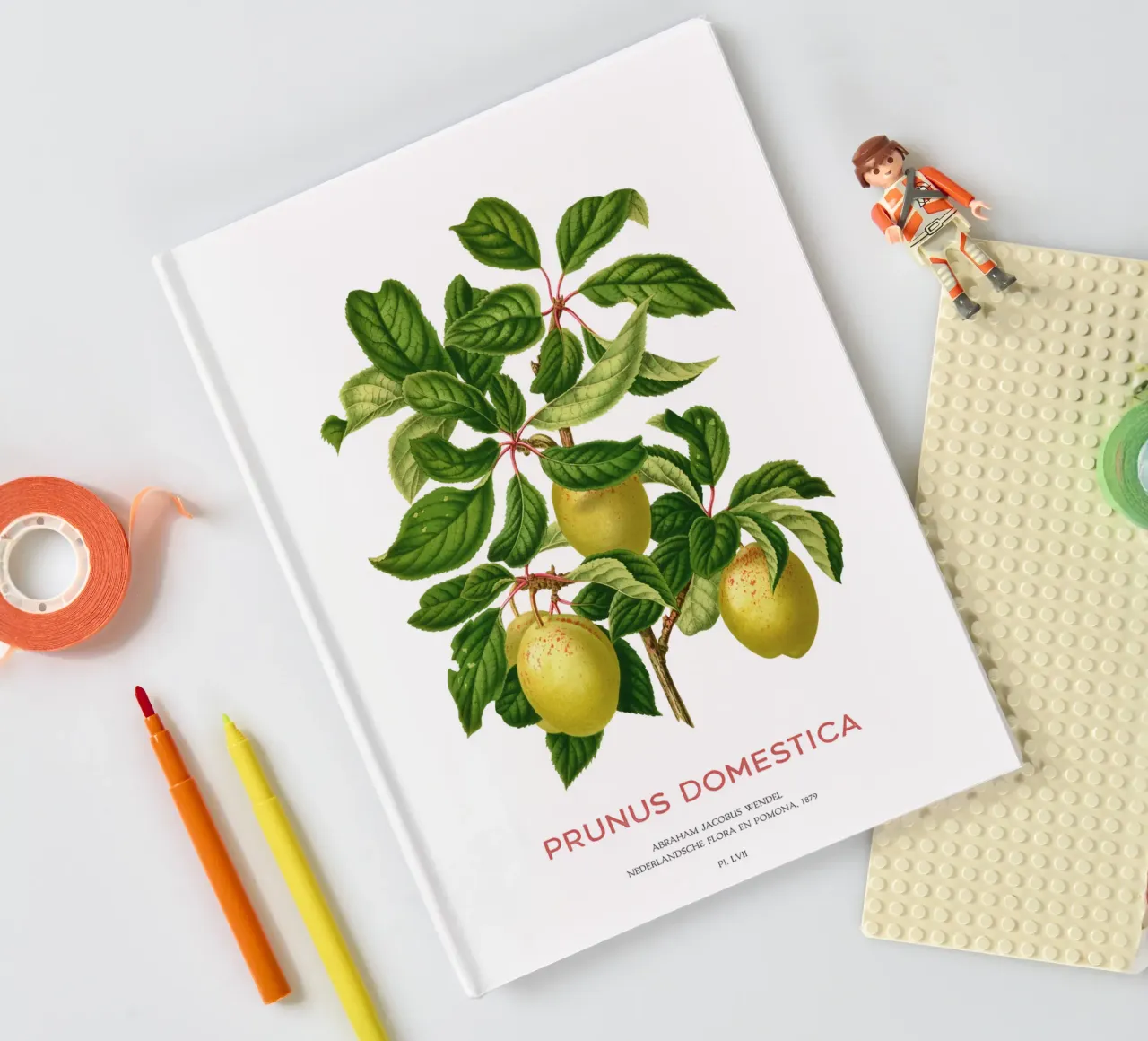 Plums on a branch or Prunus domestica notebook by Vintagrafica