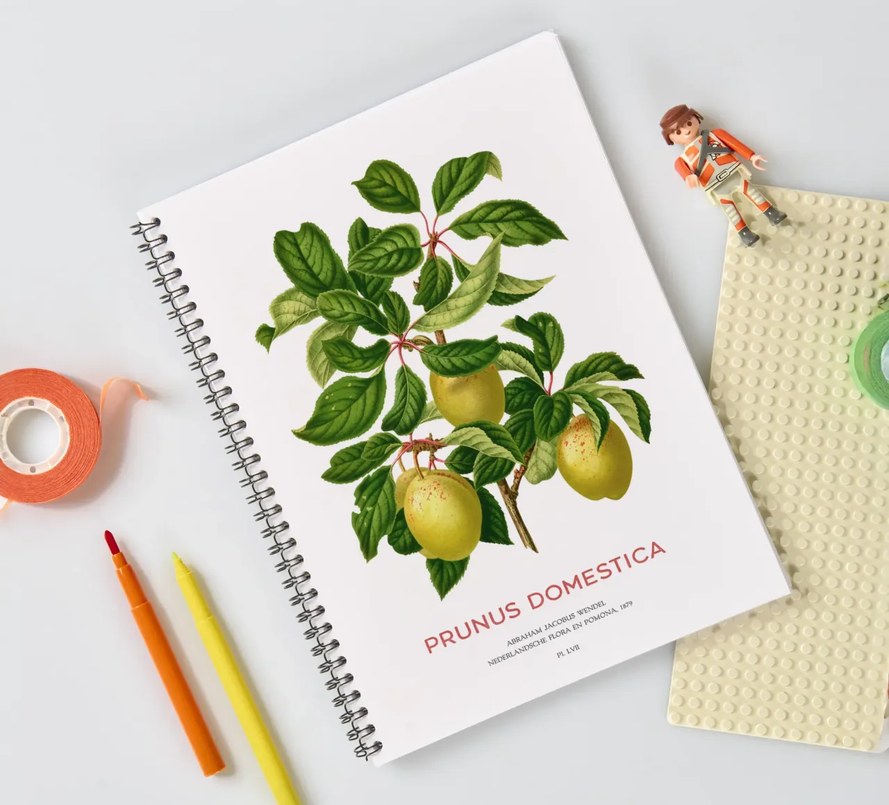 Pflaumen an einem Zweig oder Prunus domestica Ringbuch von Vintagrafica