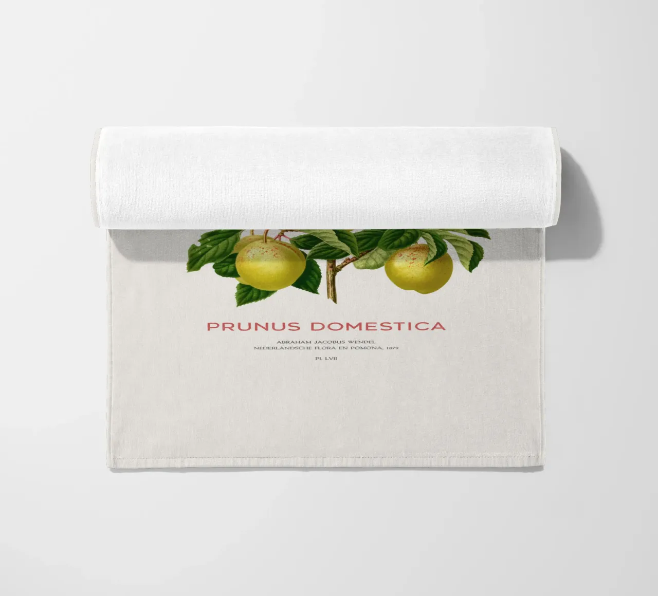 Pflaumen an einem Zweig oder Prunus domestica Strandtuch von Vintagrafica