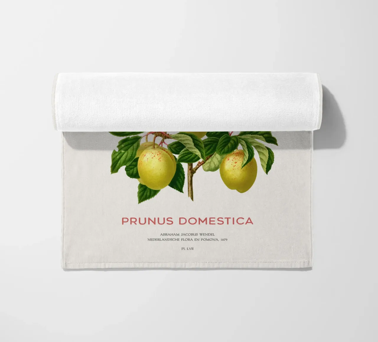 Pflaumen an einem Zweig oder Prunus domestica Strandtuch von Vintagrafica