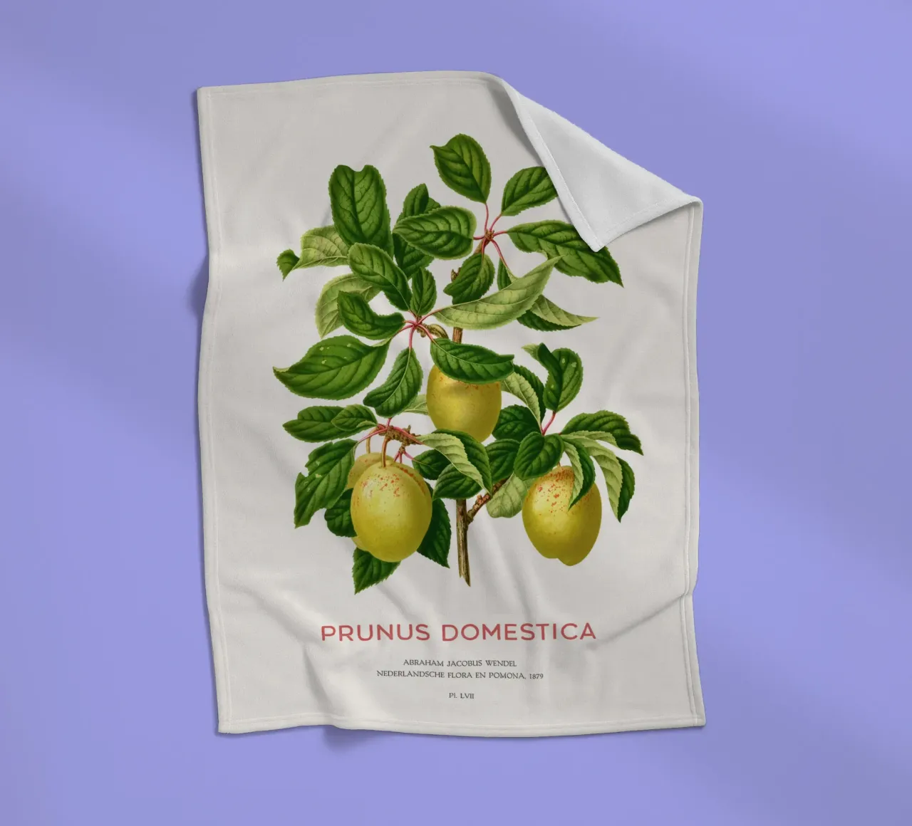 Pflaumen an einem Zweig oder Prunus domestica Fleecedecke von Vintagrafica