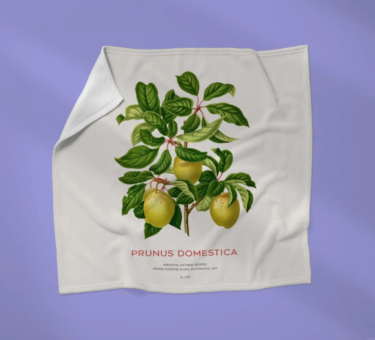 Pflaumen an einem Zweig oder Prunus domestica Fleecedecke von Vintagrafica