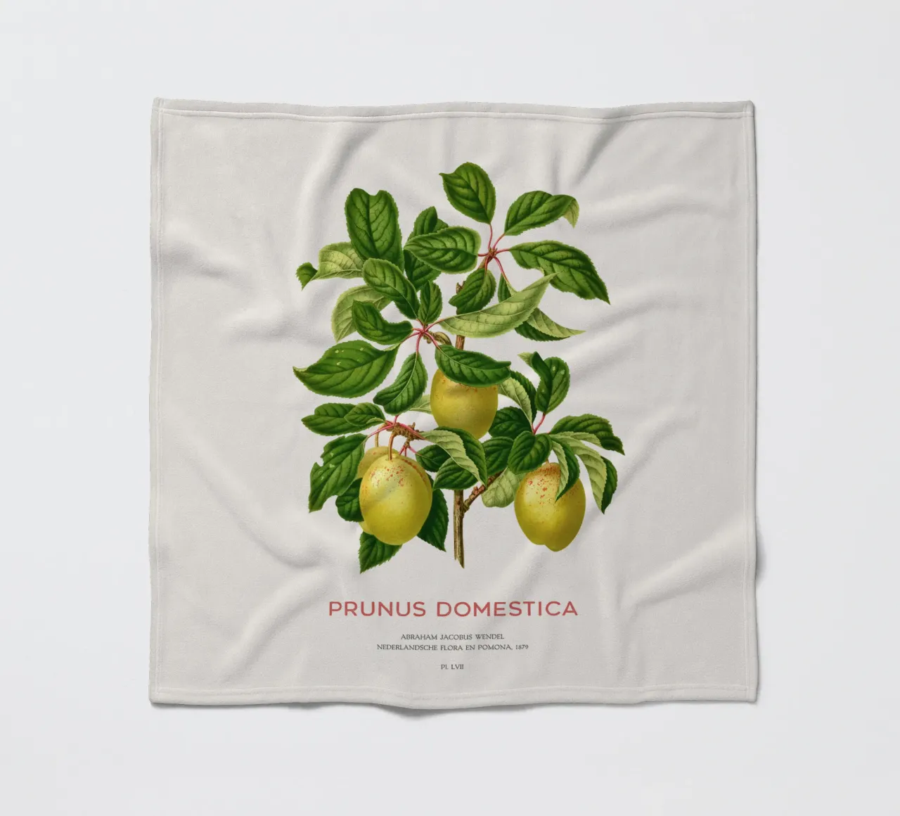 Pflaumen an einem Zweig oder Prunus domestica Fleecedecke von Vintagrafica
