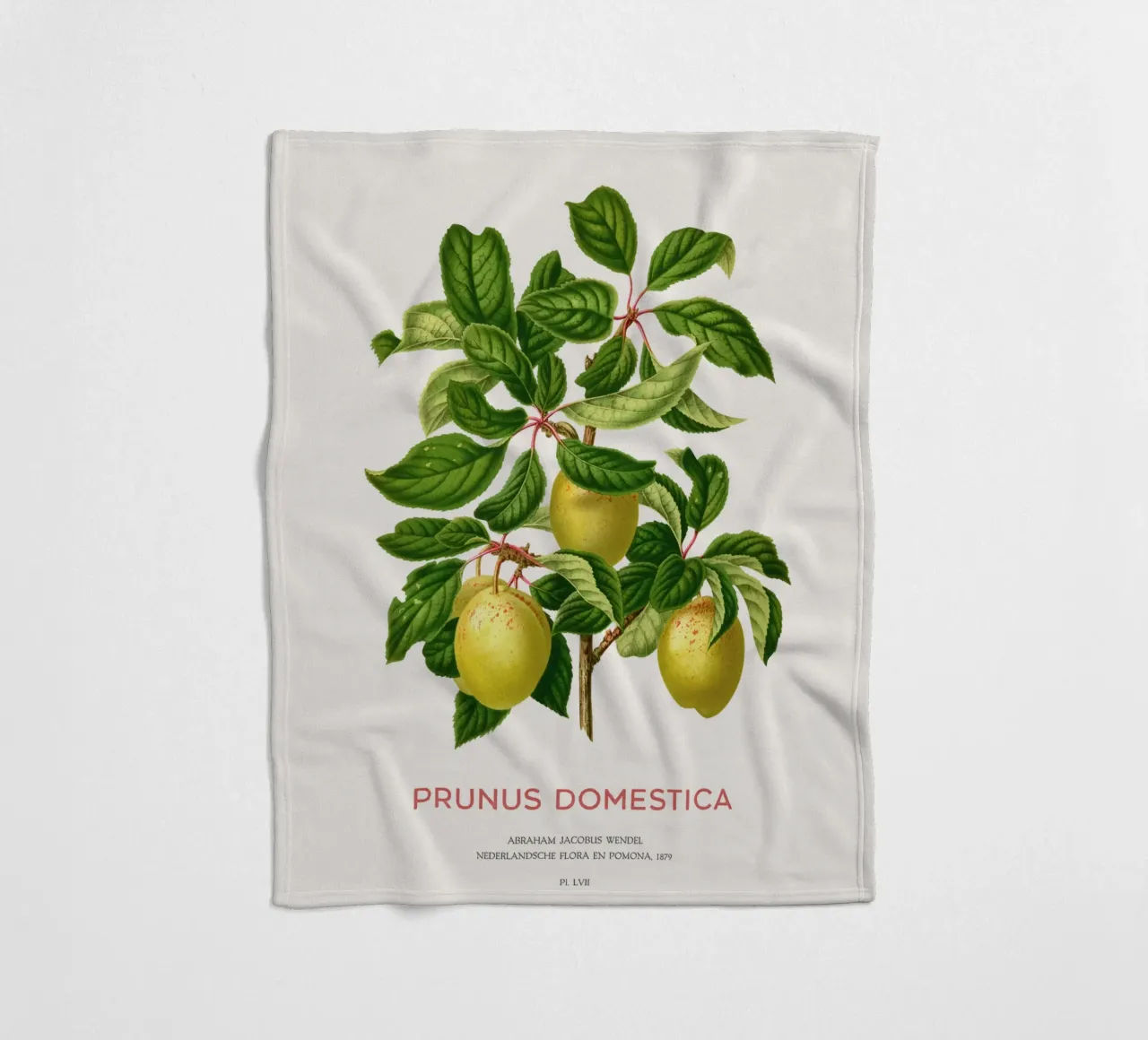 Pflaumen an einem Zweig oder Prunus domestica Fleecedecke von Vintagrafica