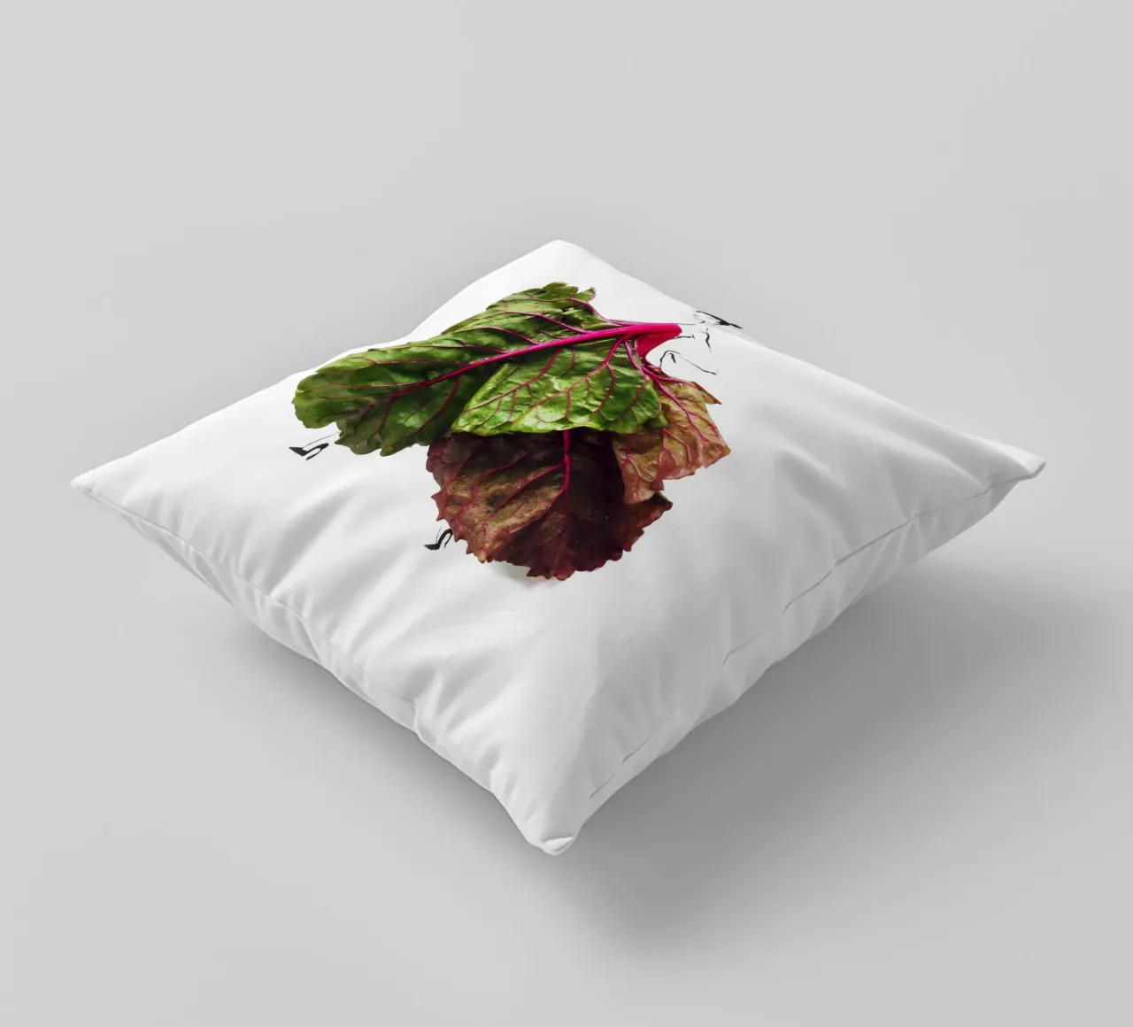 Chard On cuscino da Gretchen Roehrs