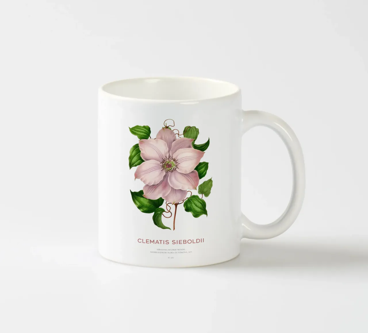 Clematis passiflora o Clematis sieboldii tazza in ceramica da Vintagrafica