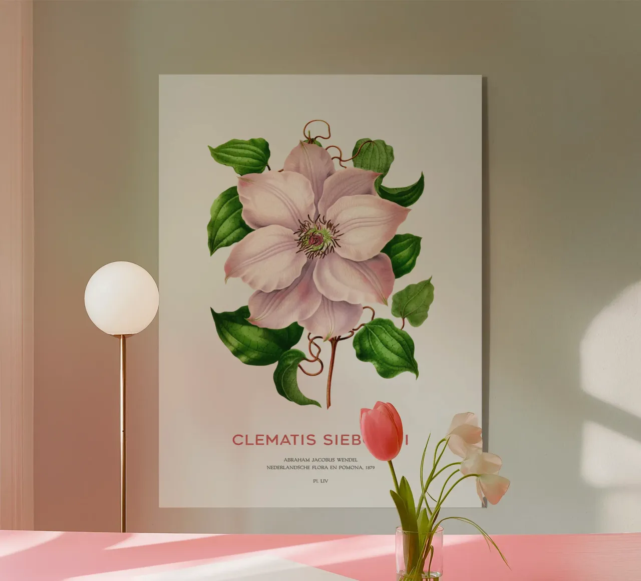 Clematis passiflora o Clematis sieboldii plexiglass da Vintagrafica