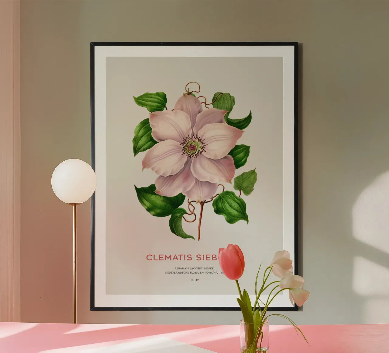 Clematis passiflora o Clematis sieboldii carta hahnemühle da Vintagrafica
