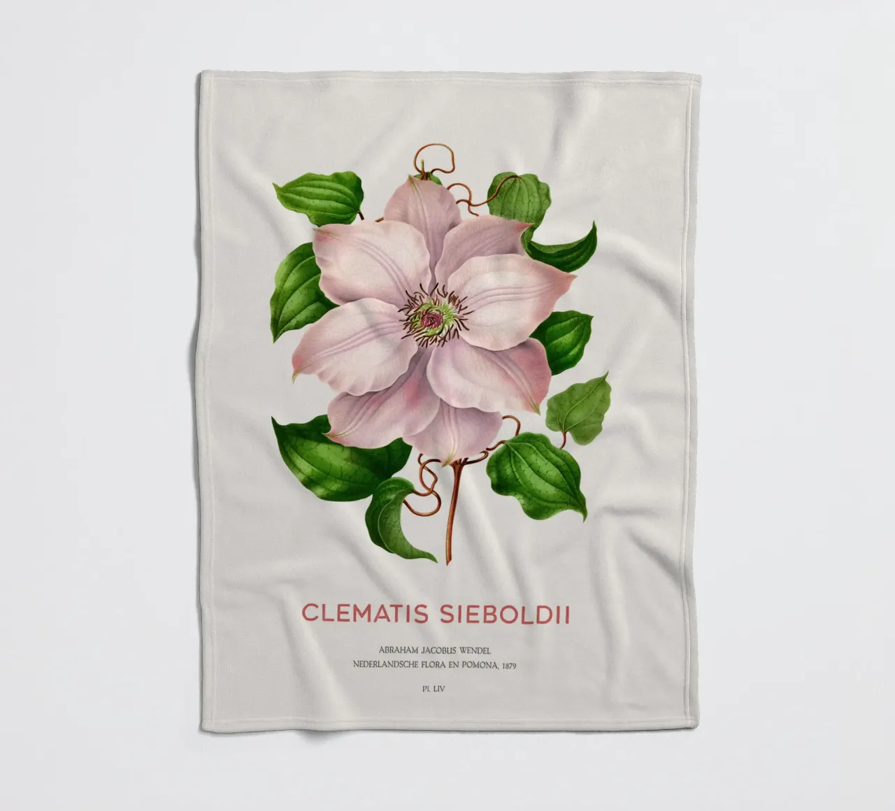 Clematis passiflora o Clematis sieboldii coperta in pile da Vintagrafica