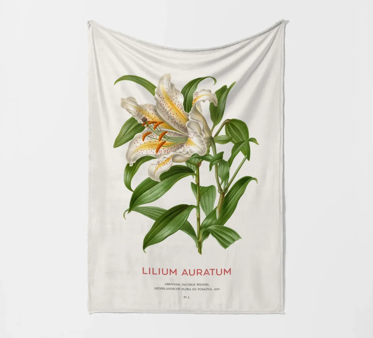 Goldstrahlige Lilie oder Lilium Auratum Fleecedecke von Vintagrafica