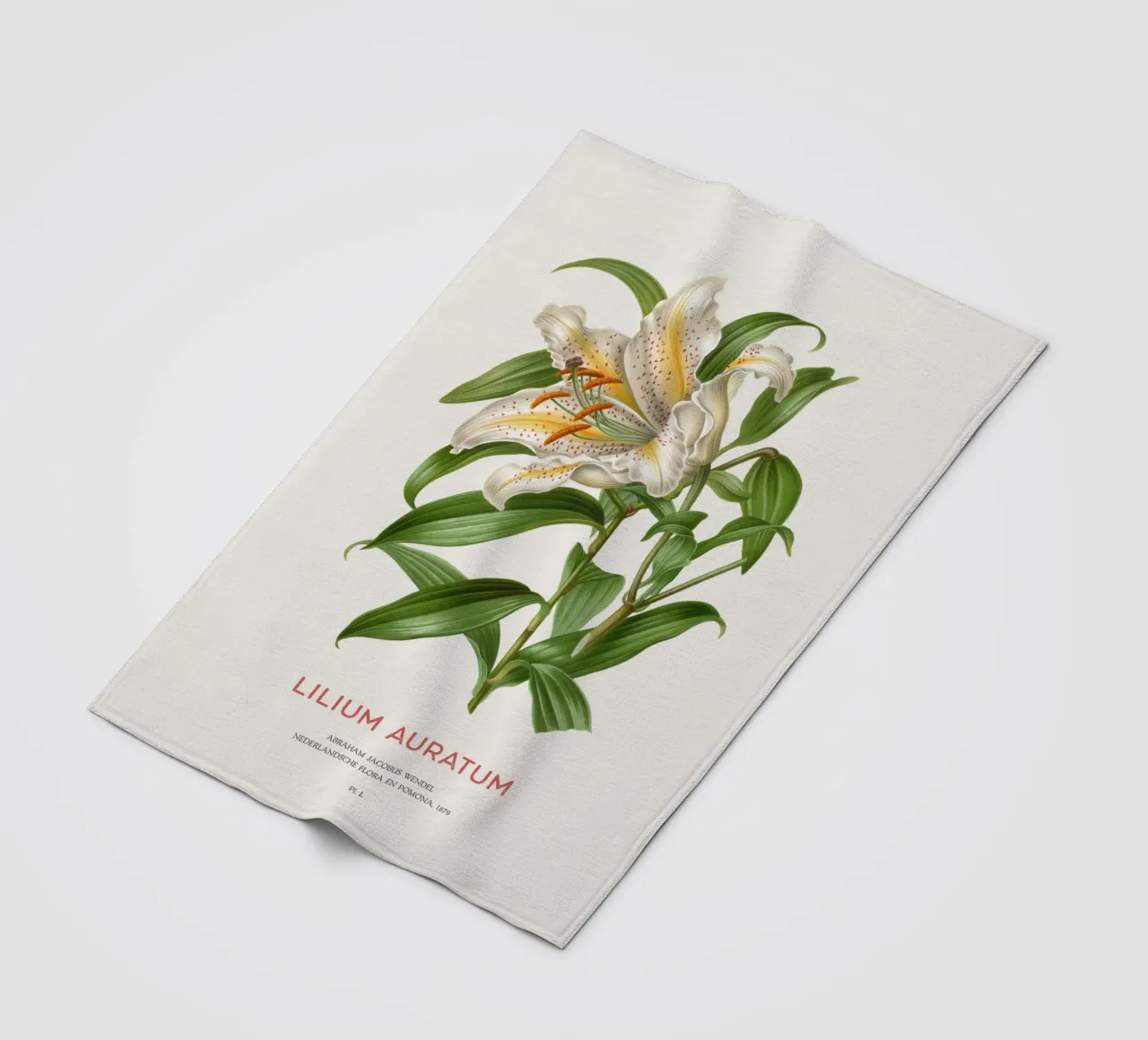 Goldstrahlige Lilie oder Lilium Auratum Fleecedecke von Vintagrafica