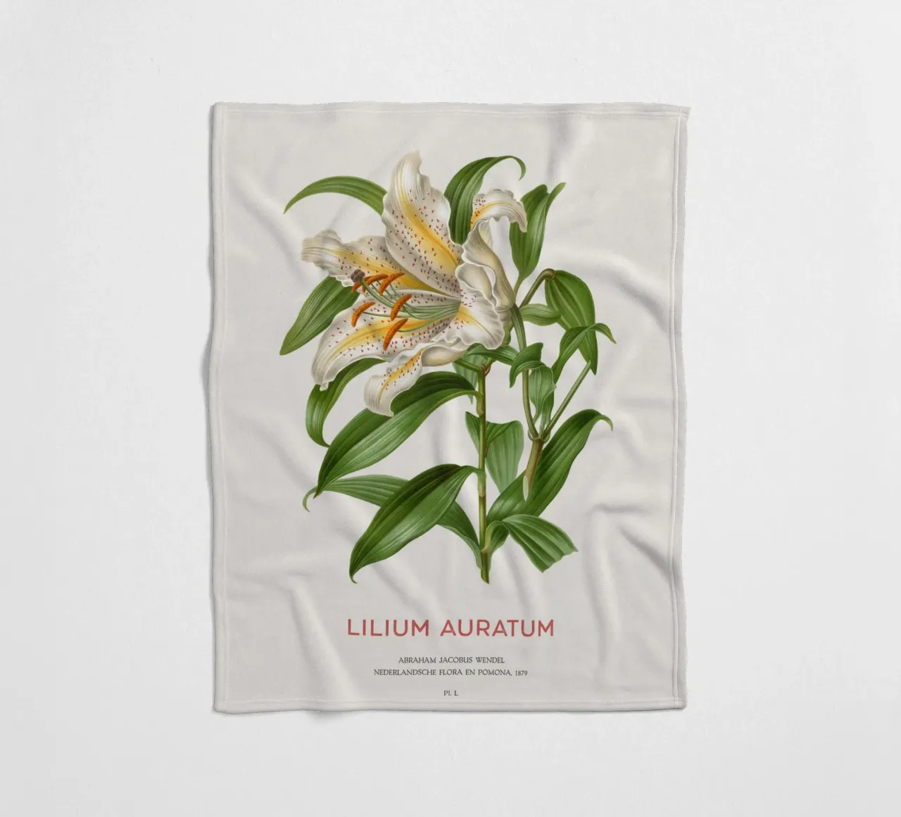 Goldstrahlige Lilie oder Lilium Auratum Fleecedecke von Vintagrafica