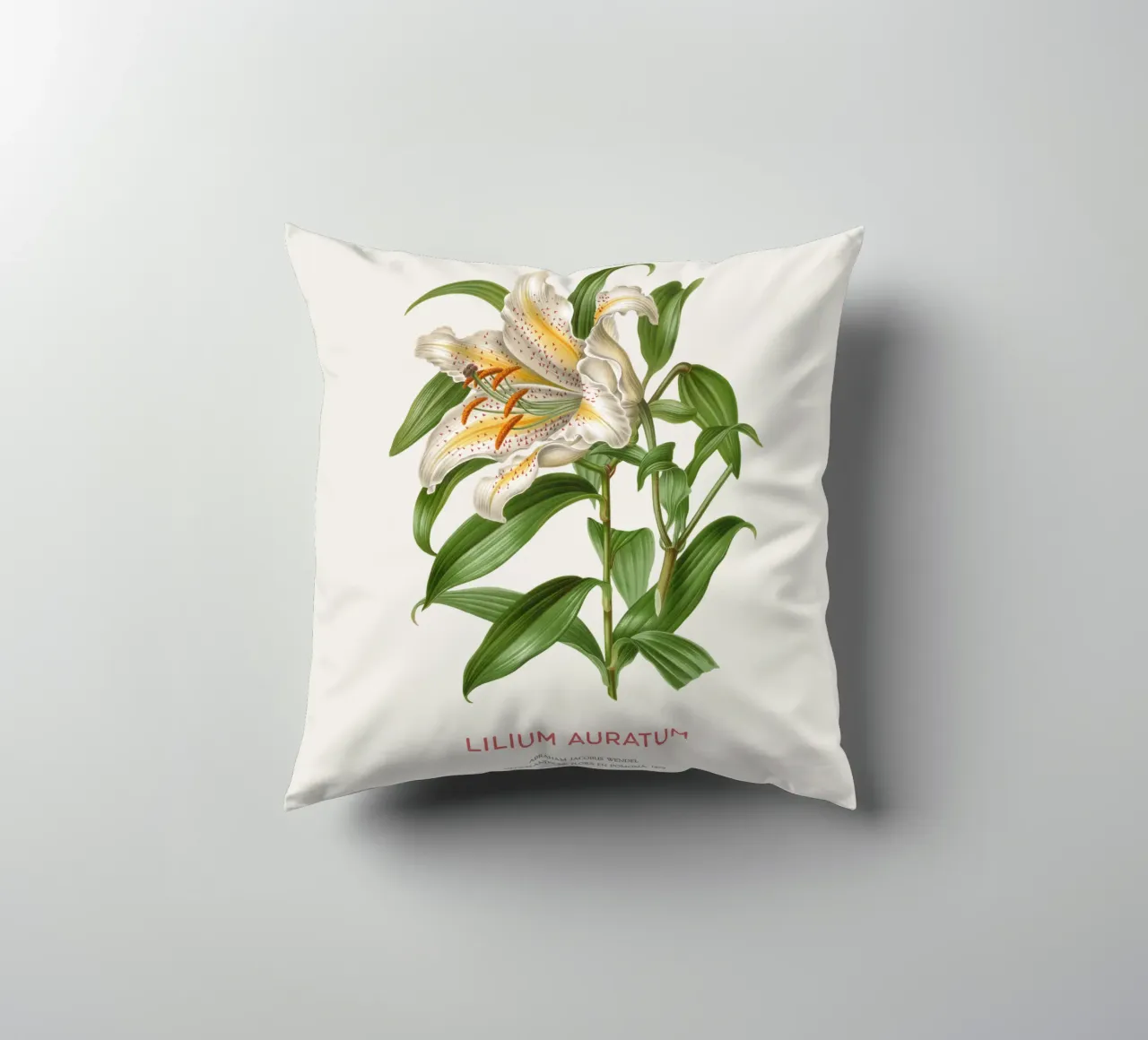 Golden-rayed lily or Lilium Auratum decorative cushion by Vintagrafica