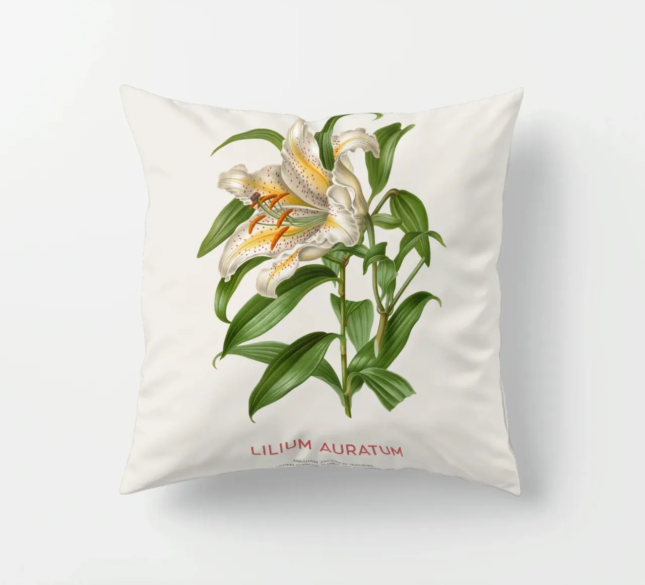 Golden-rayed lily or Lilium Auratum decorative cushion by Vintagrafica