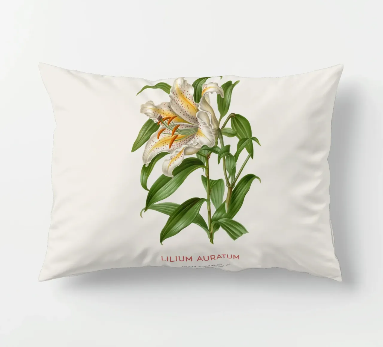Golden-rayed lily or Lilium Auratum decorative cushion by Vintagrafica