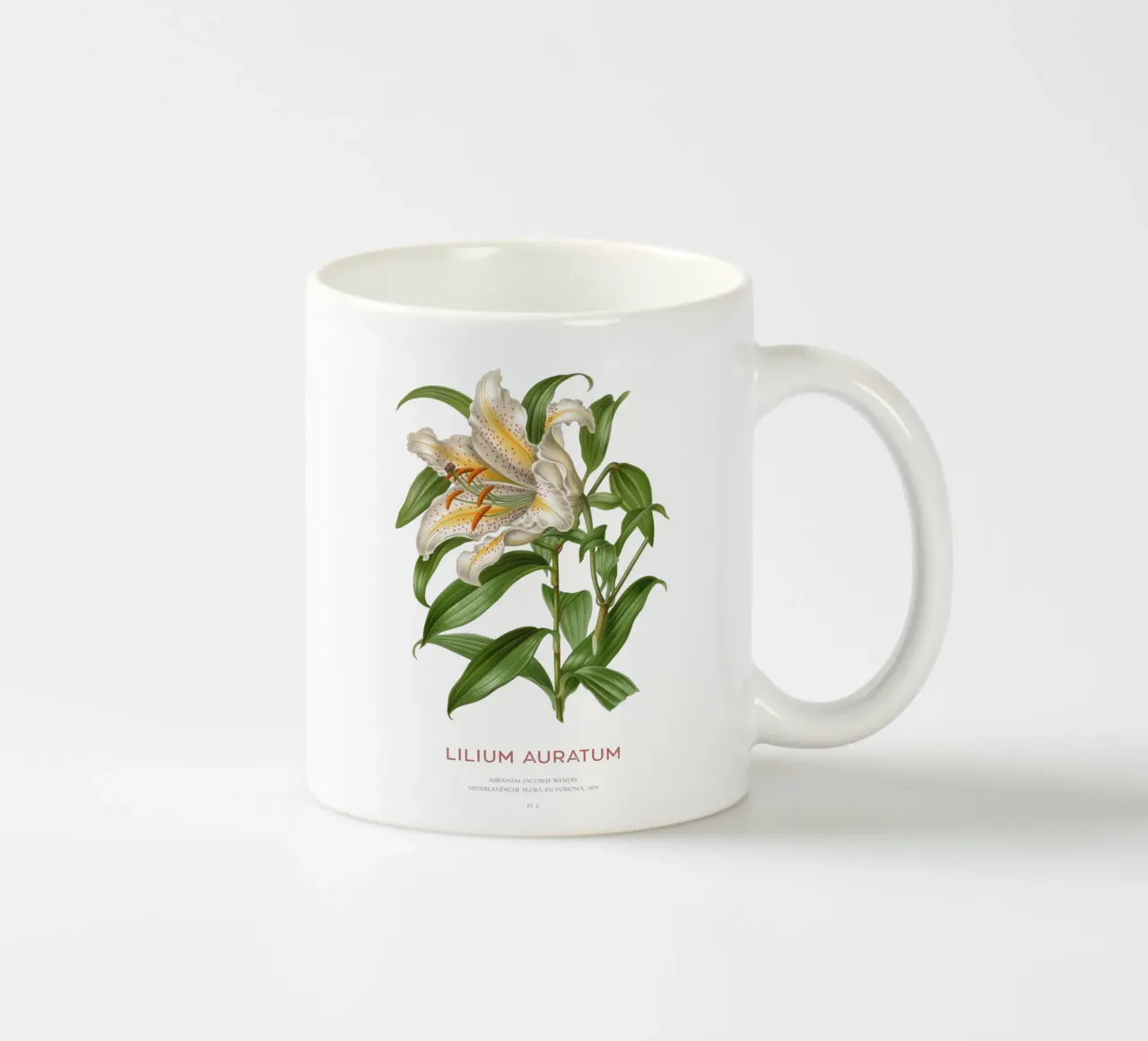 Goudgerande lelie of Lilium Auratum keramische mok van Vintagrafica