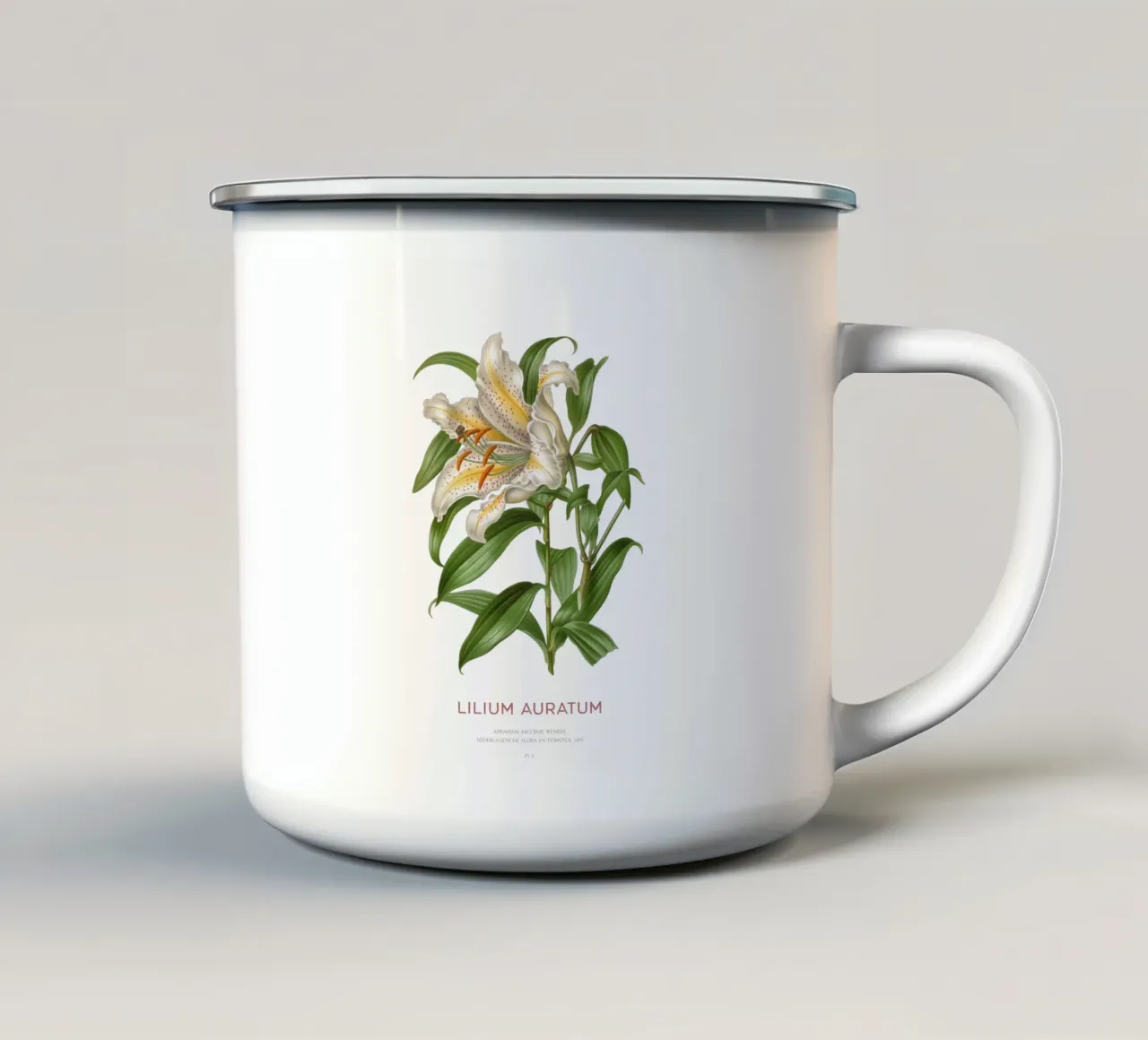 Giglio dai raggi dorati o Lilium Auratum tazza in smalto da Vintagrafica