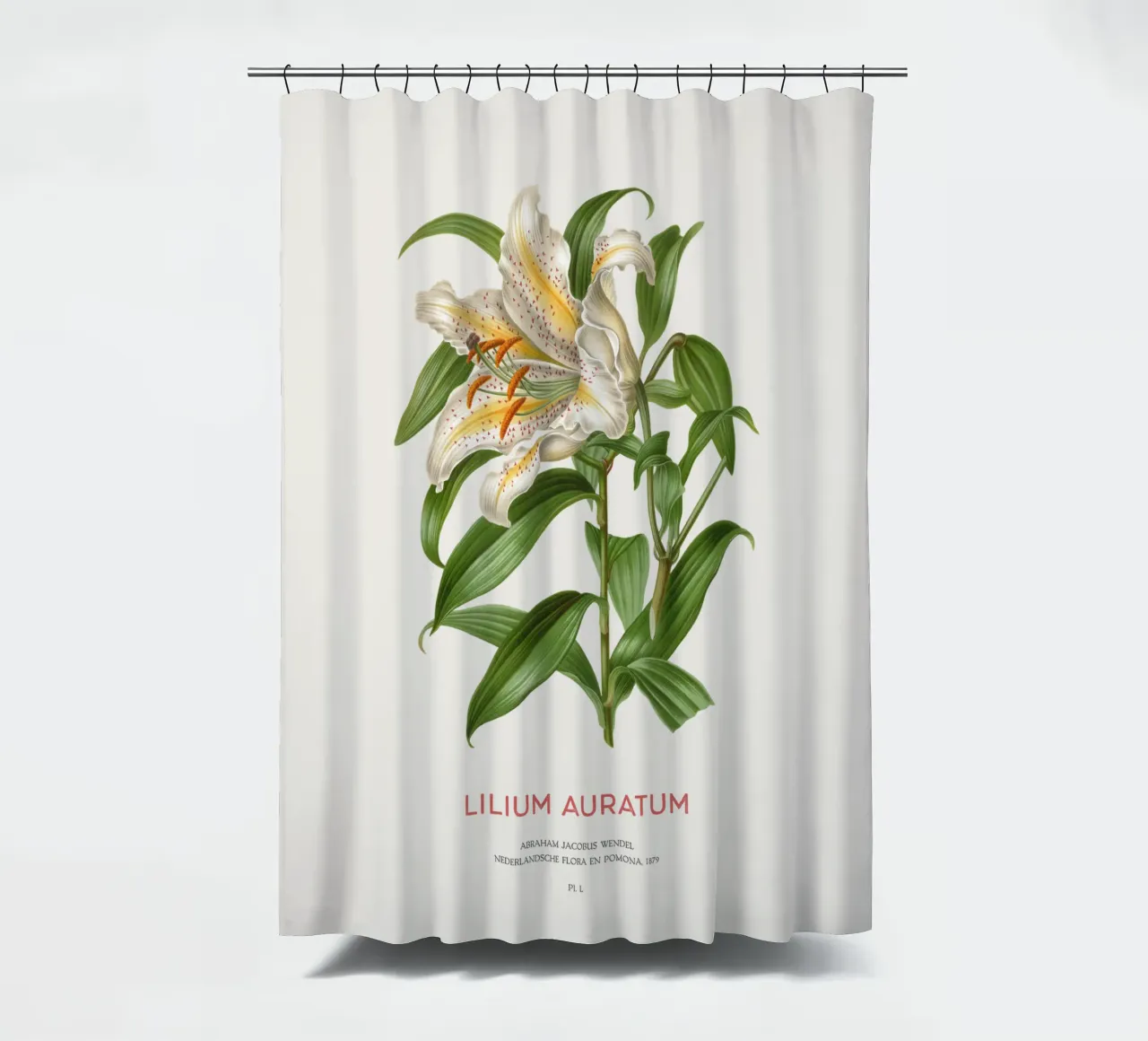 Goldstrahlige Lilie oder Lilium Auratum Duschvorhang von Vintagrafica