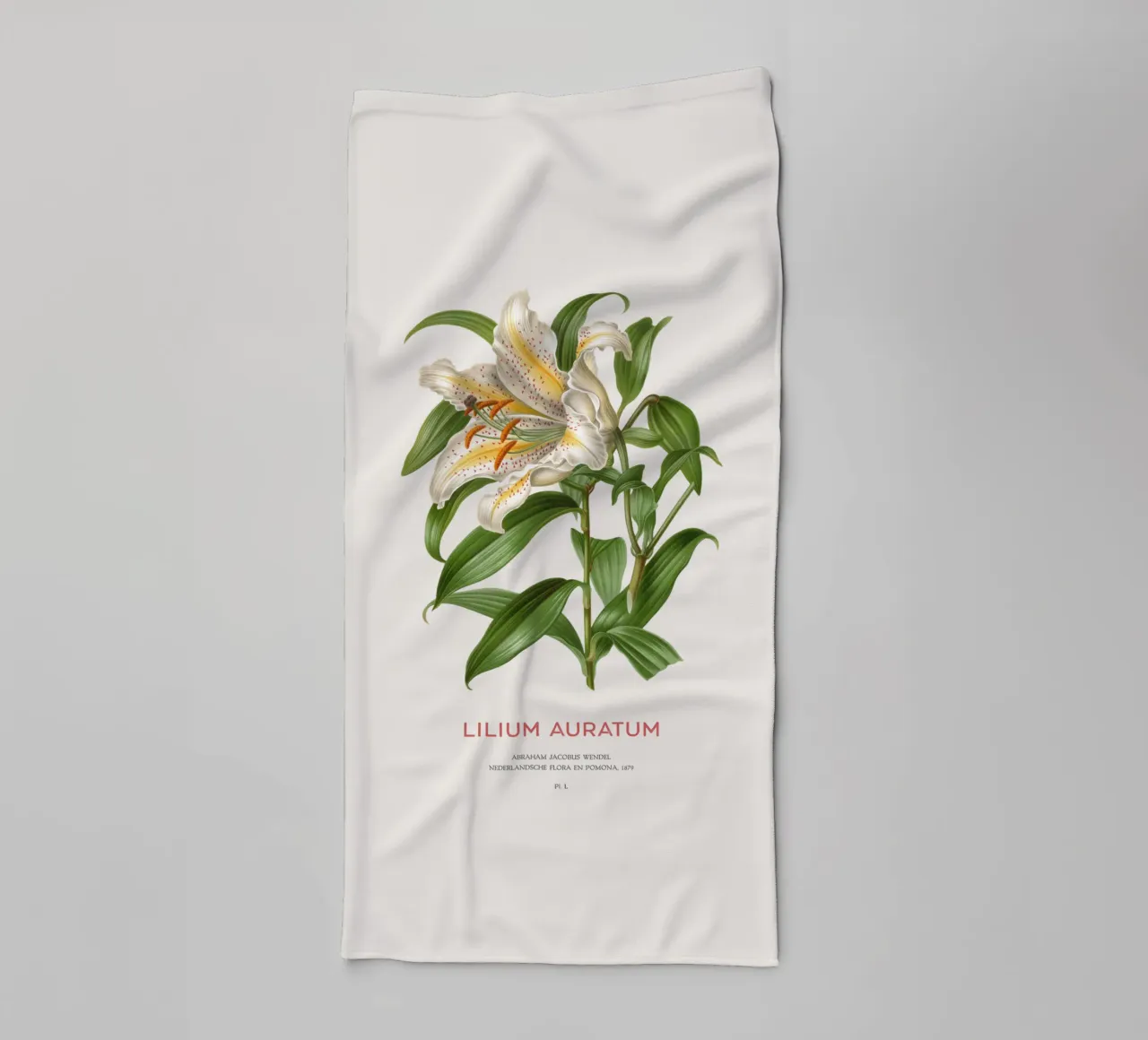 Goldstrahlige Lilie oder Lilium Auratum Handtuch von Vintagrafica