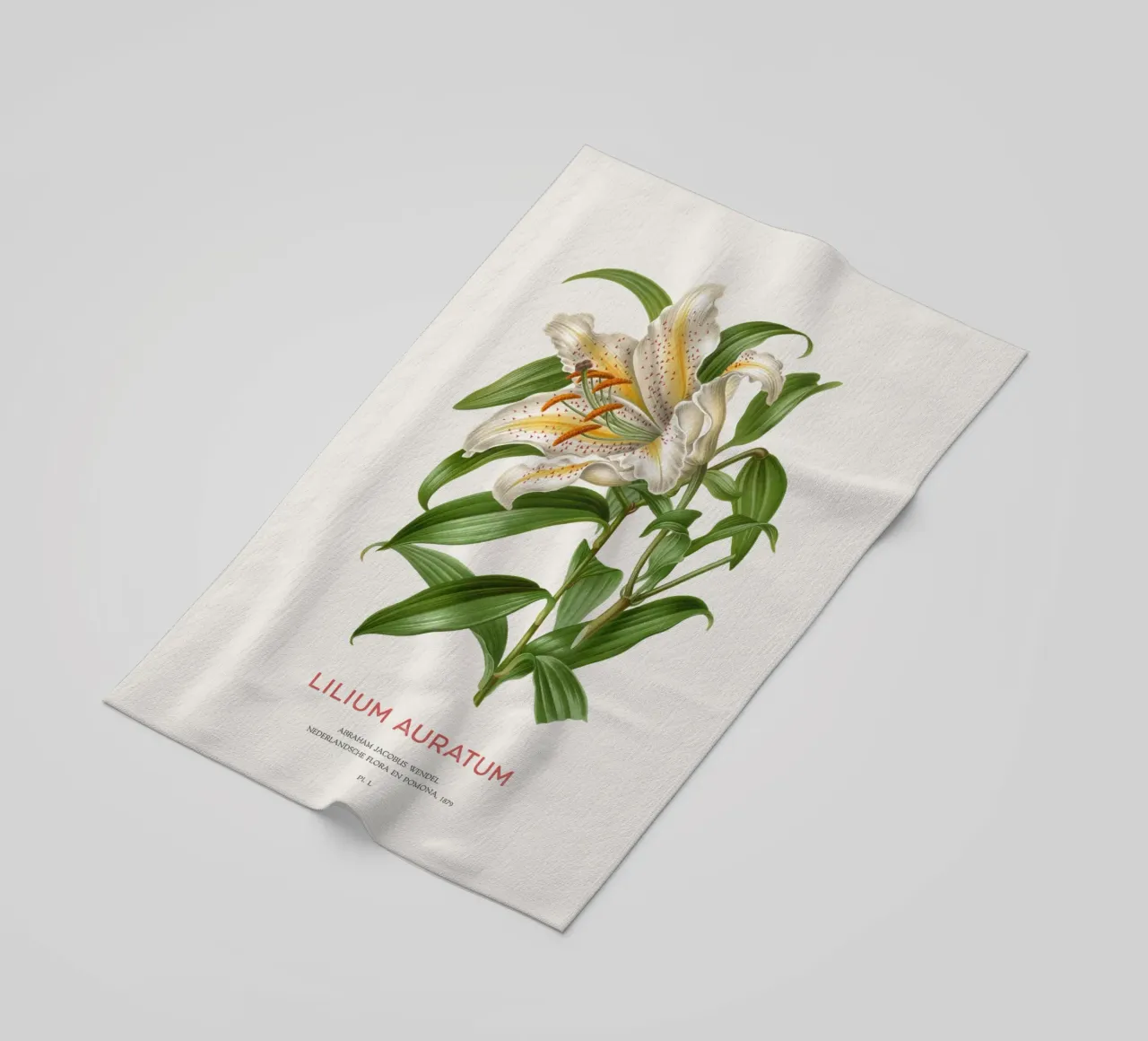 Goldstrahlige Lilie oder Lilium Auratum Strandtuch von Vintagrafica
