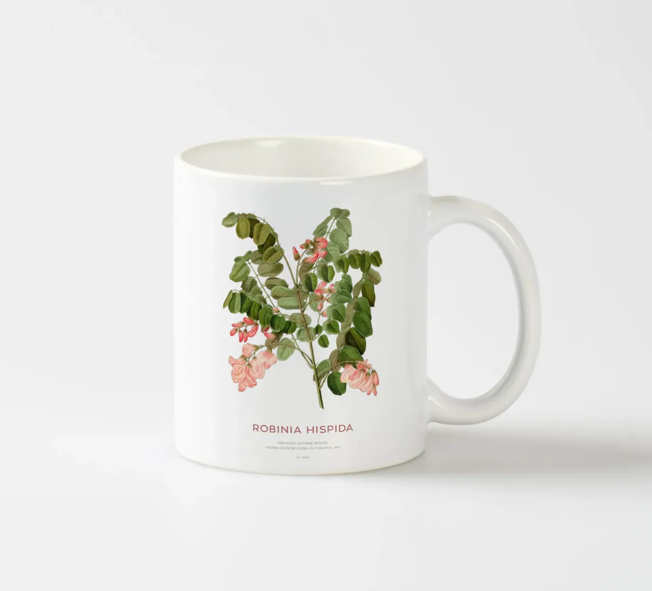 Rosa-acacia o Robinia hispida tazza in ceramica da Vintagrafica