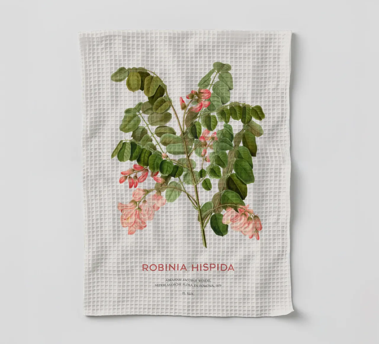 Rosen-Akazie oder Robinie hispida Geschirrtuch von Vintagrafica