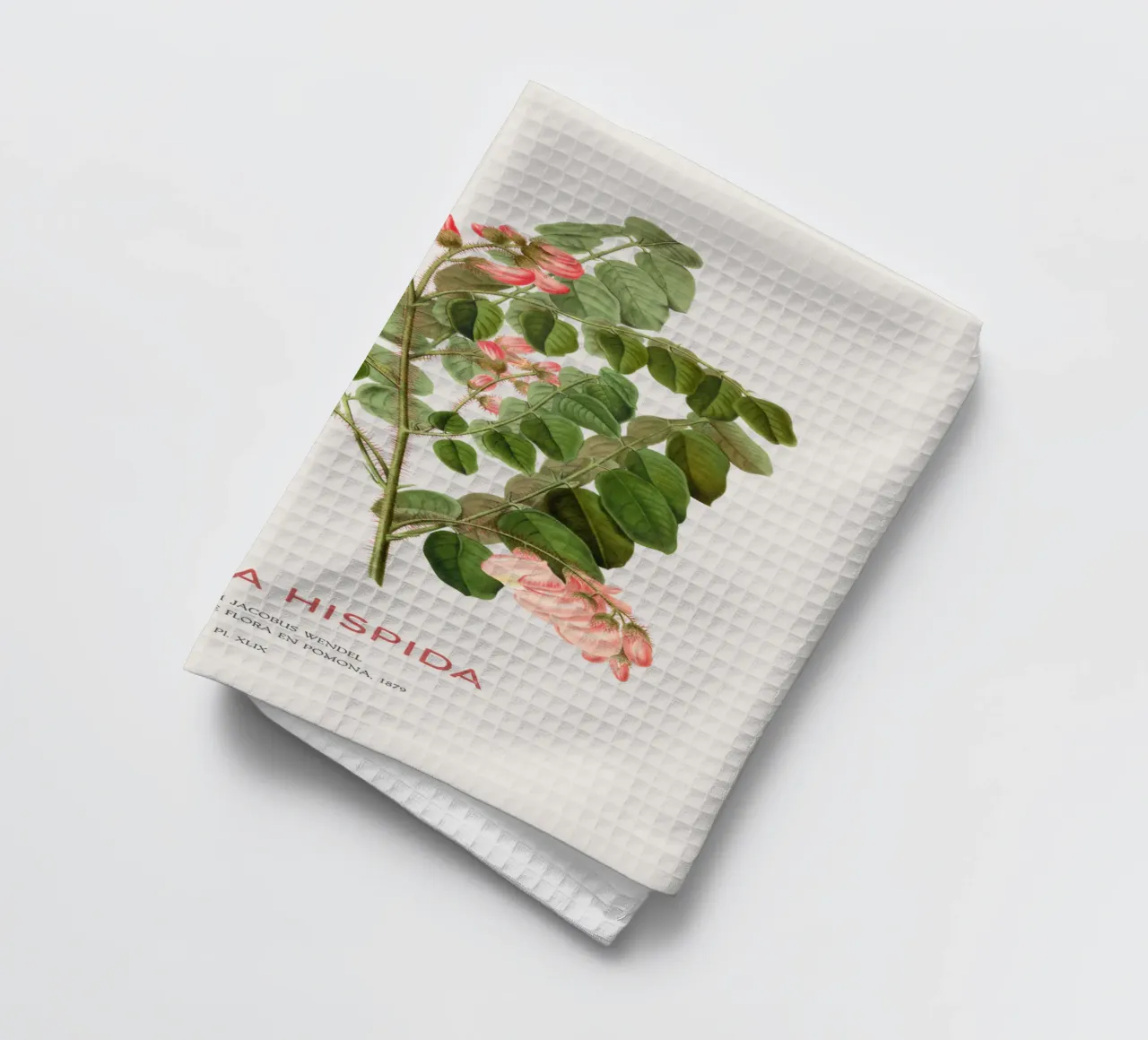 Rosen-Akazie oder Robinie hispida Geschirrtuch von Vintagrafica