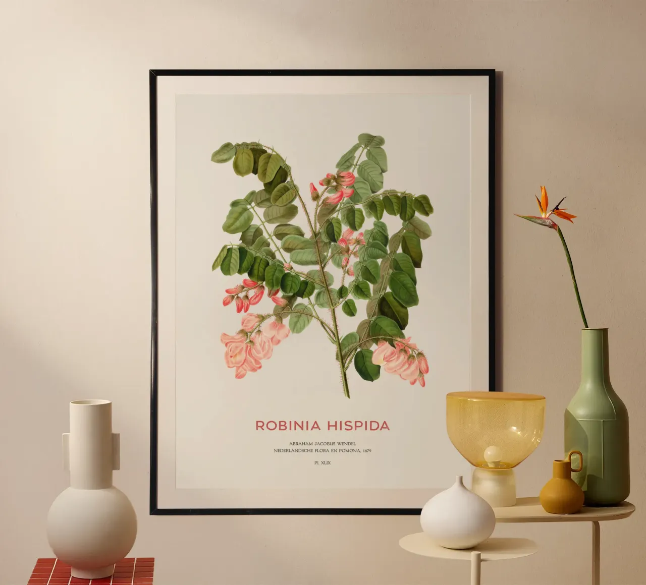 Rosen-Akazie oder Robinie hispida Poster von Vintagrafica