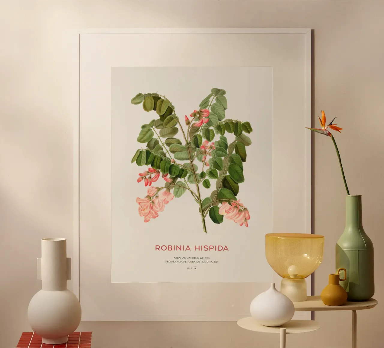 Rosen-Akazie oder Robinie hispida Poster von Vintagrafica