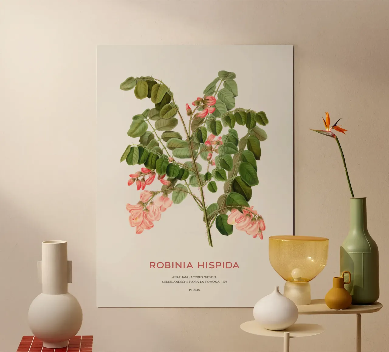 Rosen-Akazie oder Robinie hispida Poster von Vintagrafica