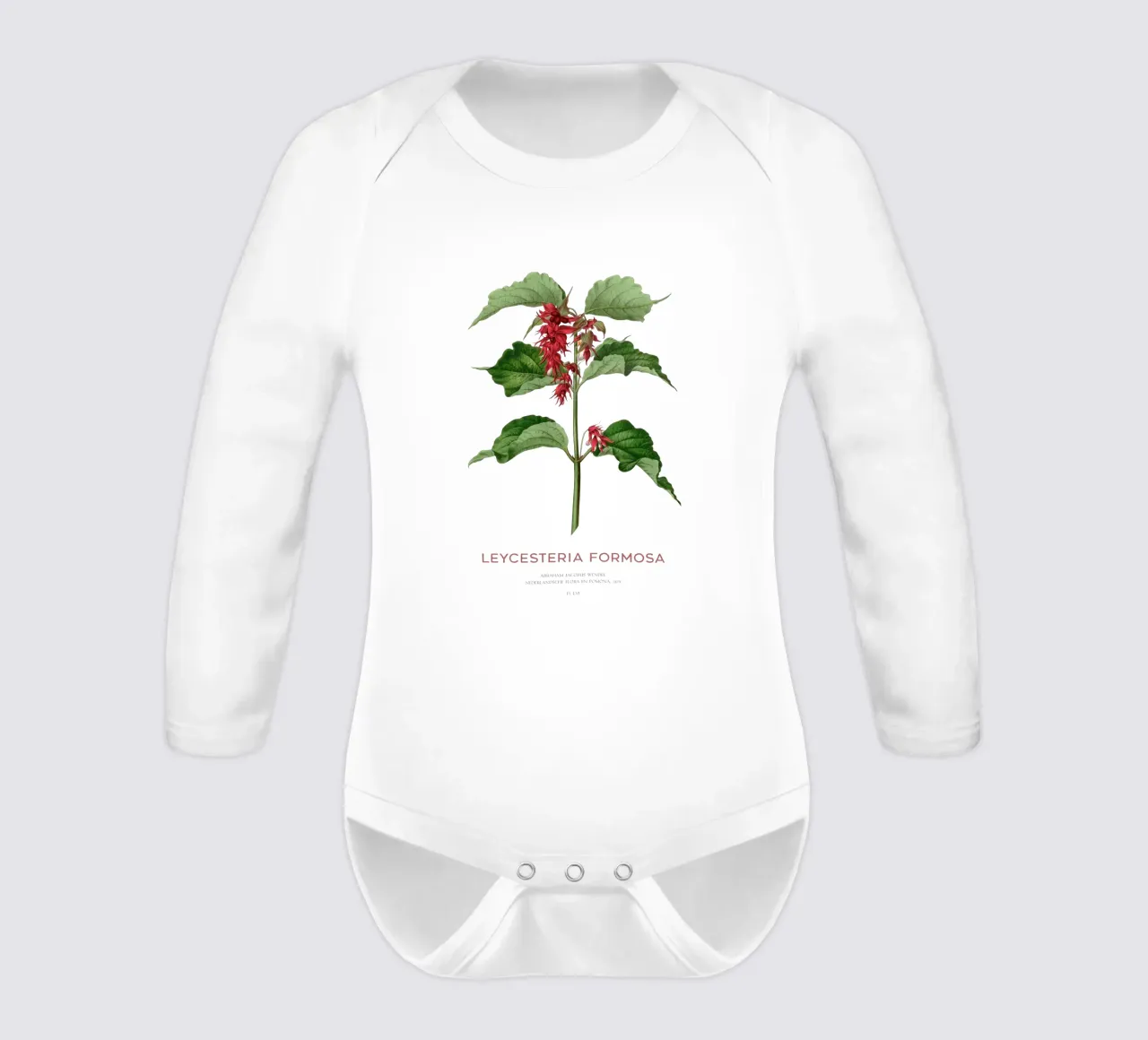 Bacche di fagiano o Leycesteria formosa body neonato maniche lunghe da Vintagrafica