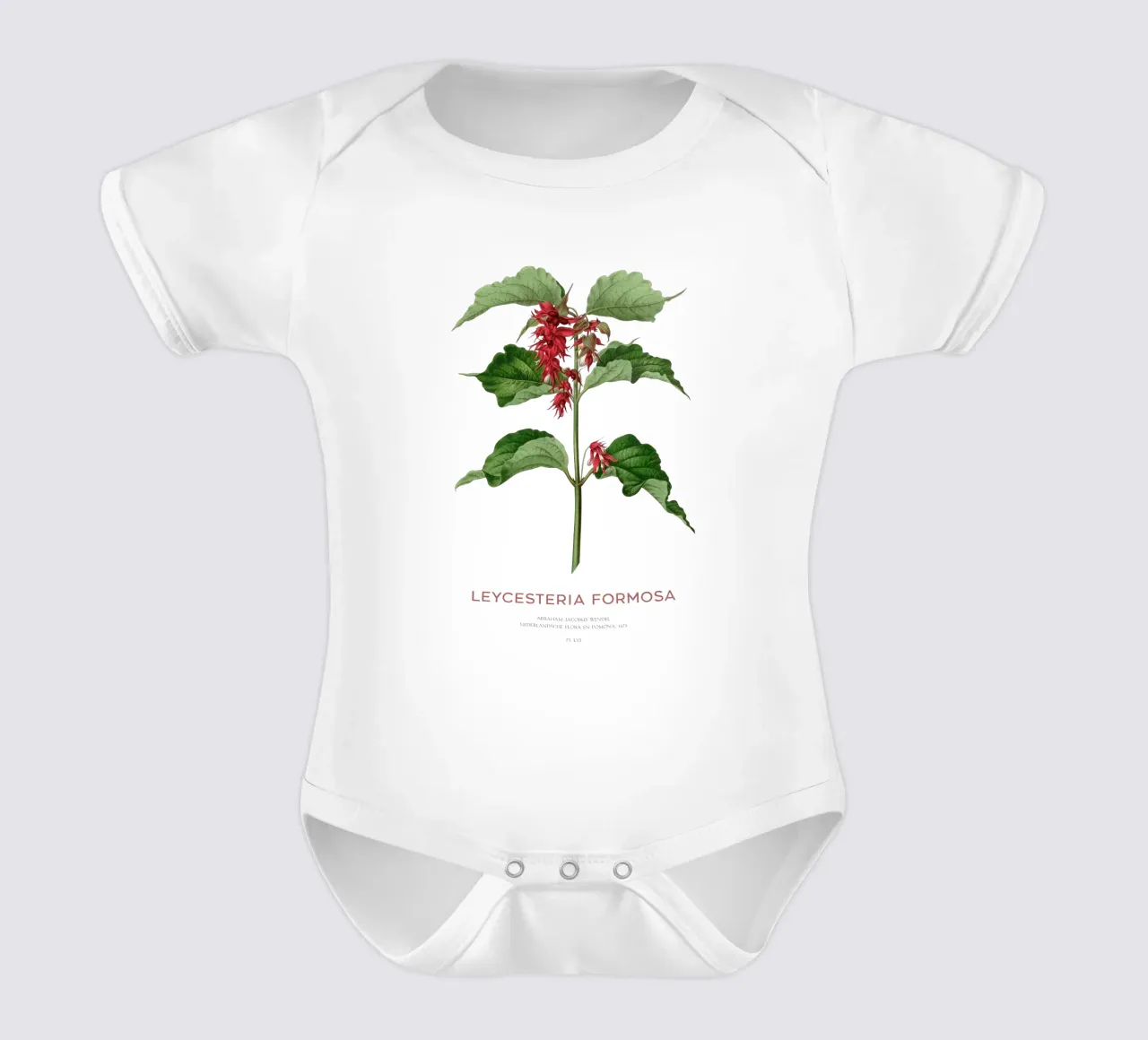 Fasanenbeere oder Leycesteria formosa Kurzarm Babybody von Vintagrafica