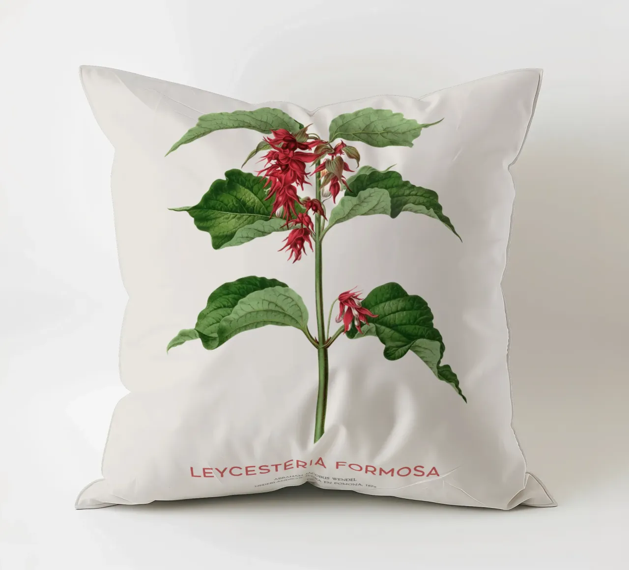 Bacche di fagiano o Leycesteria formosa cuscino da Vintagrafica