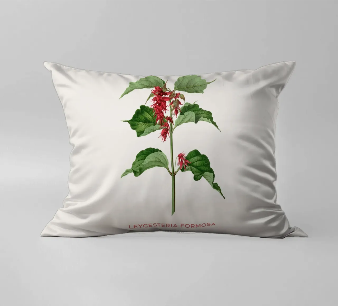 Bacche di fagiano o Leycesteria formosa cuscino da Vintagrafica