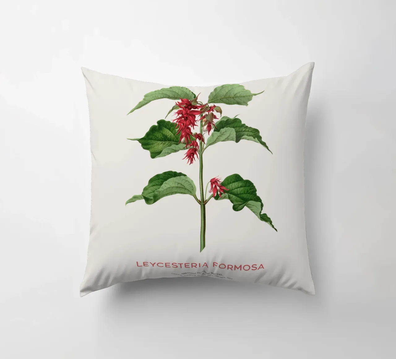 Bacche di fagiano o Leycesteria formosa cuscino da Vintagrafica