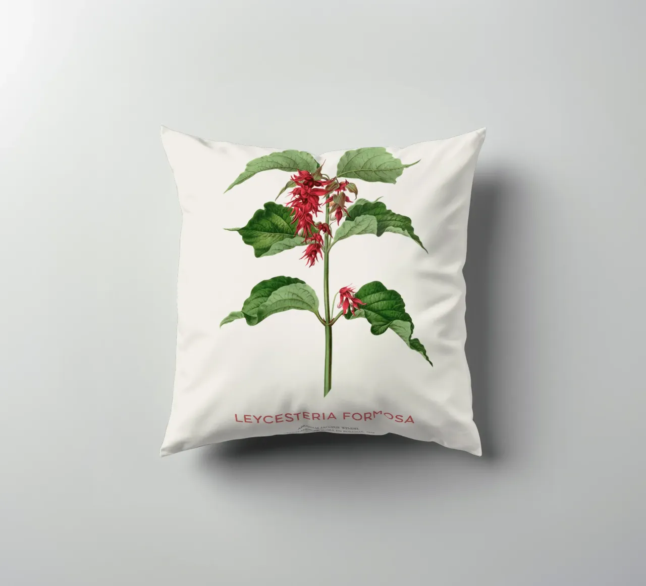 Bacche di fagiano o Leycesteria formosa cuscino da Vintagrafica