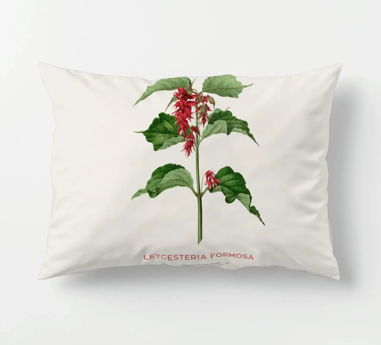 Bacche di fagiano o Leycesteria formosa cuscino da Vintagrafica