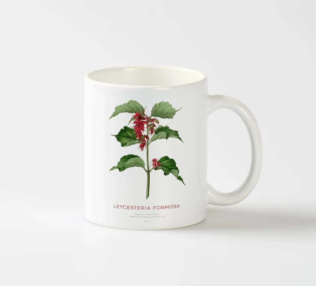 Bacche di fagiano o Leycesteria formosa tazza in ceramica da Vintagrafica