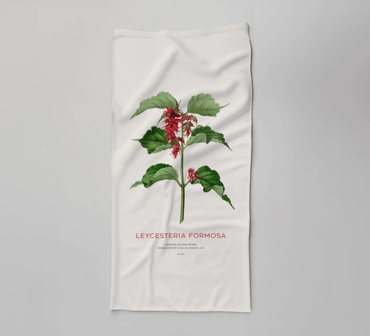 Fasanenbeere oder Leycesteria formosa Handtuch von Vintagrafica