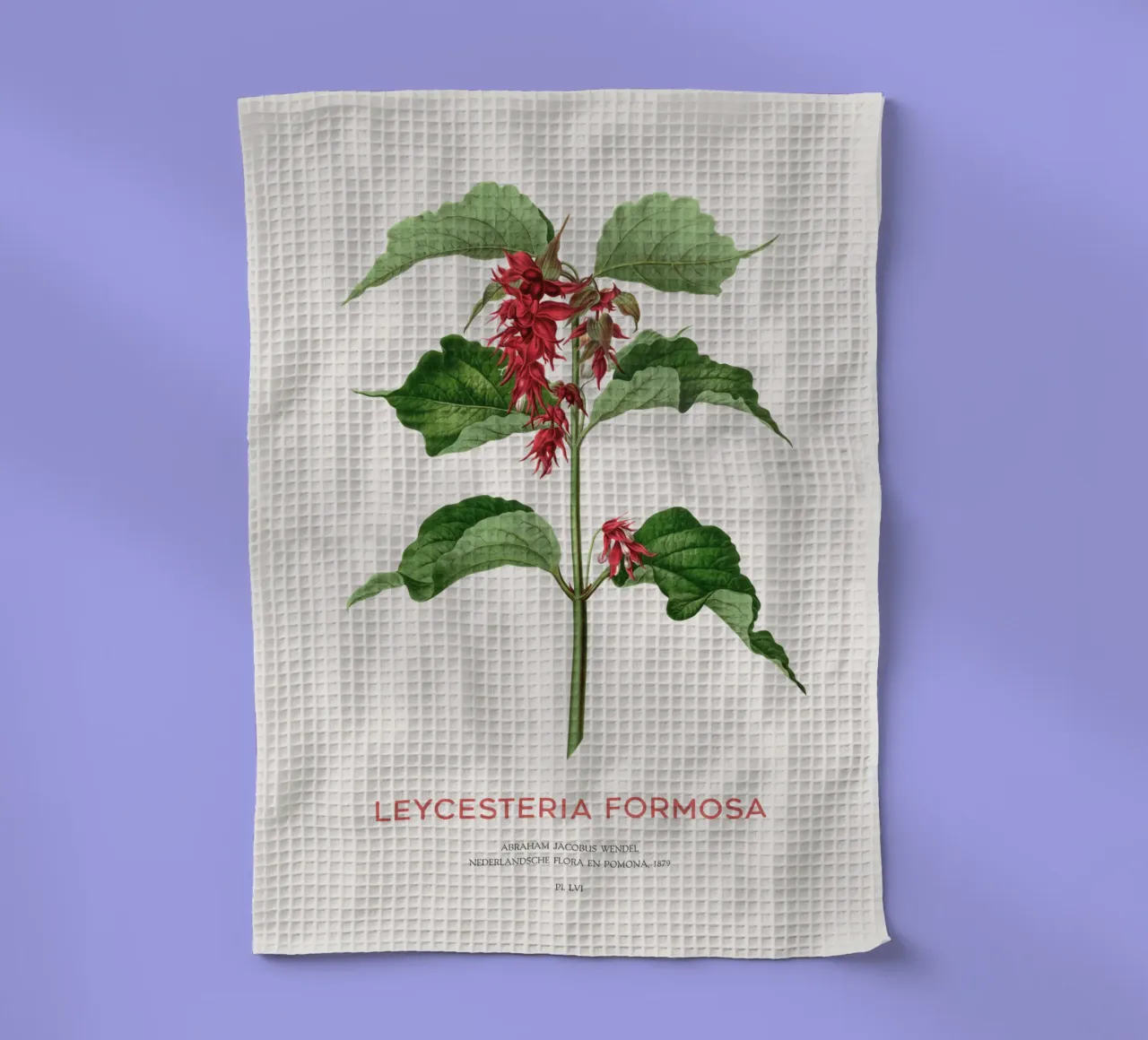 Fasanenbeere oder Leycesteria formosa Geschirrtuch von Vintagrafica