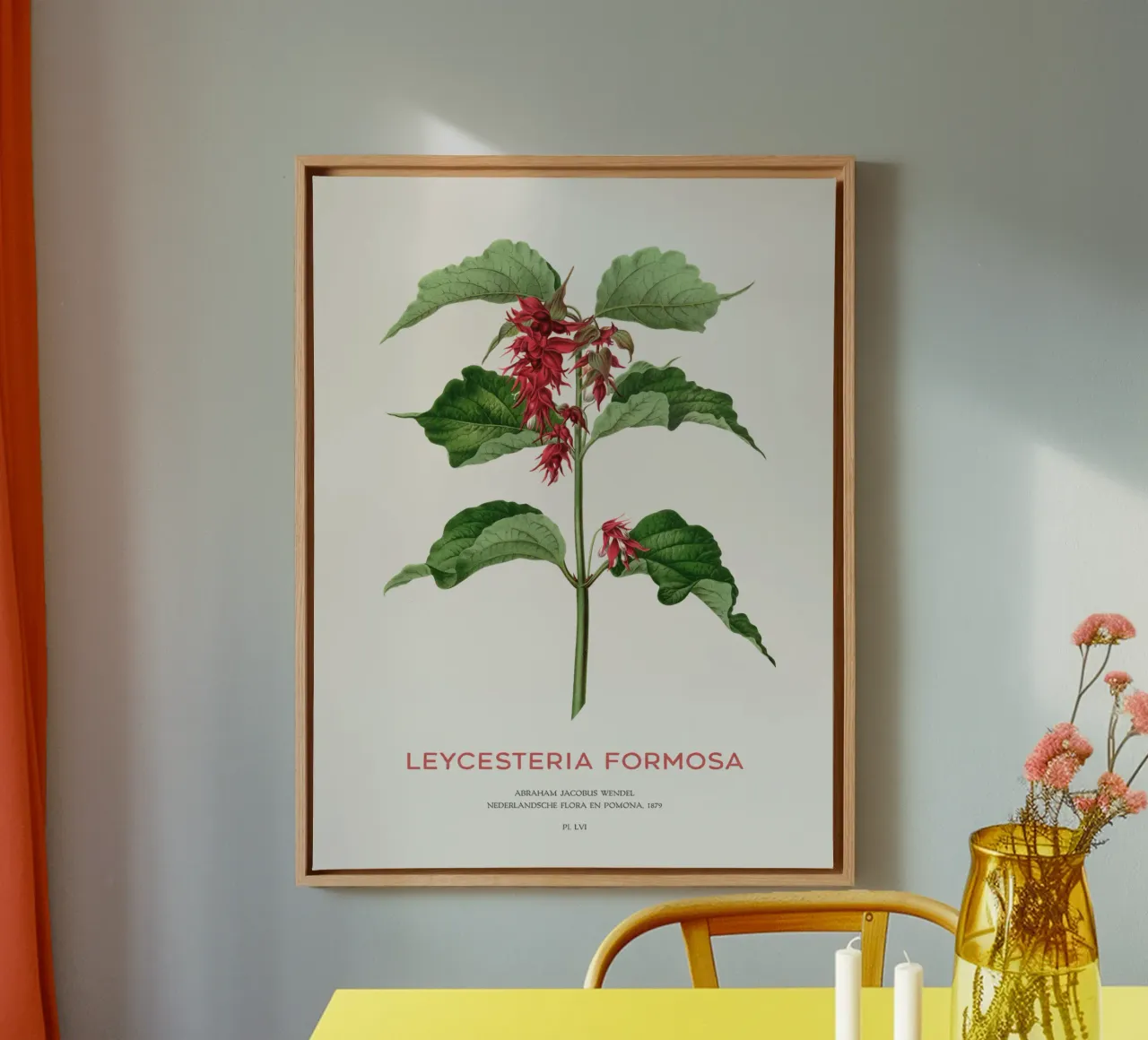 Fasanenbeere oder Leycesteria formosa Leinwand mit Schattenfugenrahmen von Vintagrafica